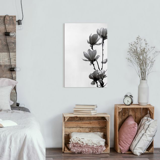 Wandbilder Blumen Frühlingsbote Magnolie Schwarz Weiß