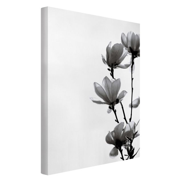 Leinwandbild Kunstdruck Frühlingsbote Magnolie Schwarz Weiß