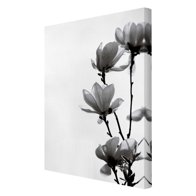 Bilder für die Wand Frühlingsbote Magnolie Schwarz Weiß