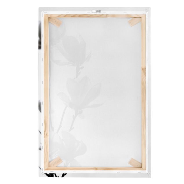 Schöne Leinwandbilder Frühlingsbote Magnolie Schwarz Weiß