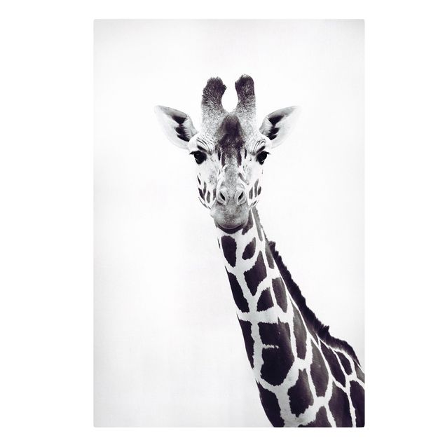 Leinwandbild Kunstdruck Giraffen Portrait in Schwarz-weiß
