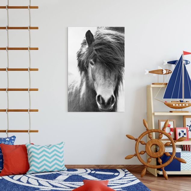 Wandbilder Tiere Island Pferd in Schwarz-weiß