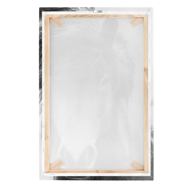 Moderne Leinwandbilder Wohnzimmer Island Pferd in Schwarz-weiß