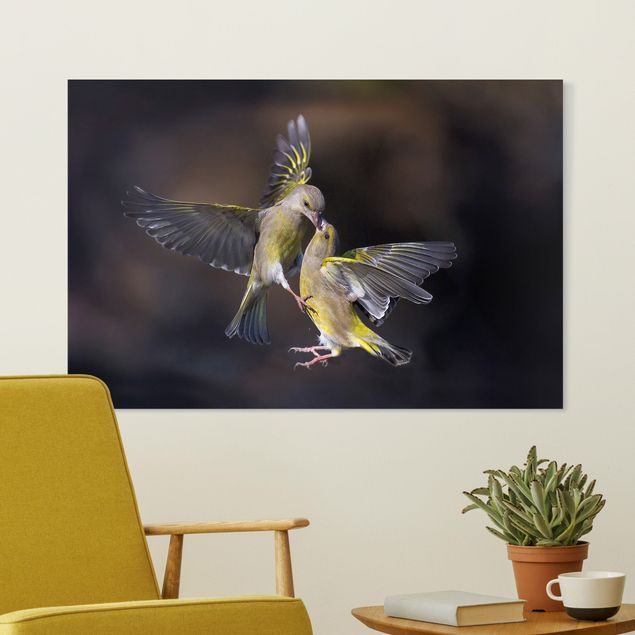 Leinwandbilder XXL Küssende Kolibris
