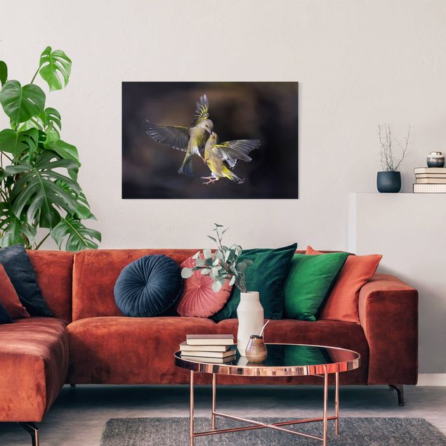 Wandbilder Vögel Küssende Kolibris