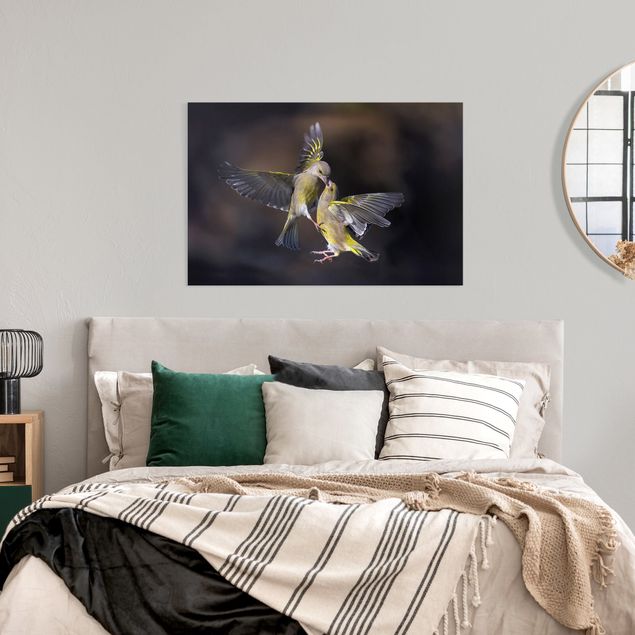Wandbilder Tiere Küssende Kolibris