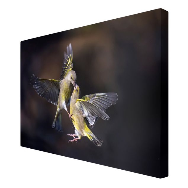 Schöne Wandbilder Küssende Kolibris