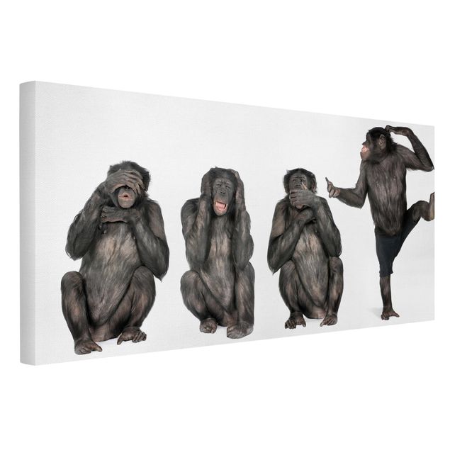 Wandbilder Tiere Affen Clique