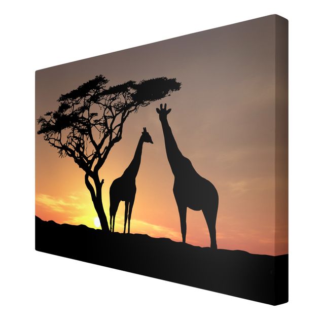 Tierbilder auf Leinwand African Sunset