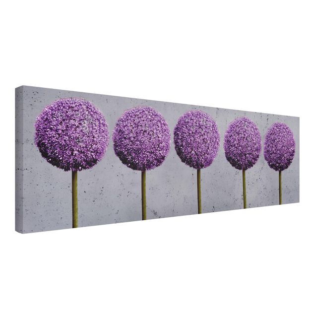 Wandbilder Allium Kugel-Blüten