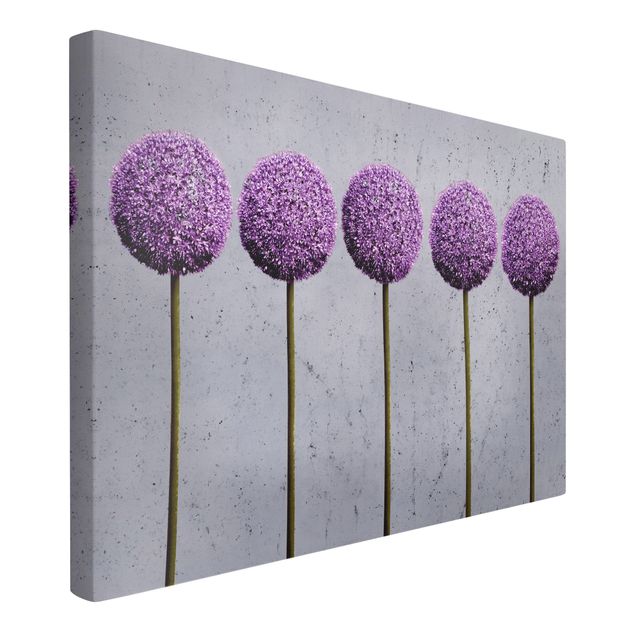 Schöne Wandbilder Allium Kugel-Blüten