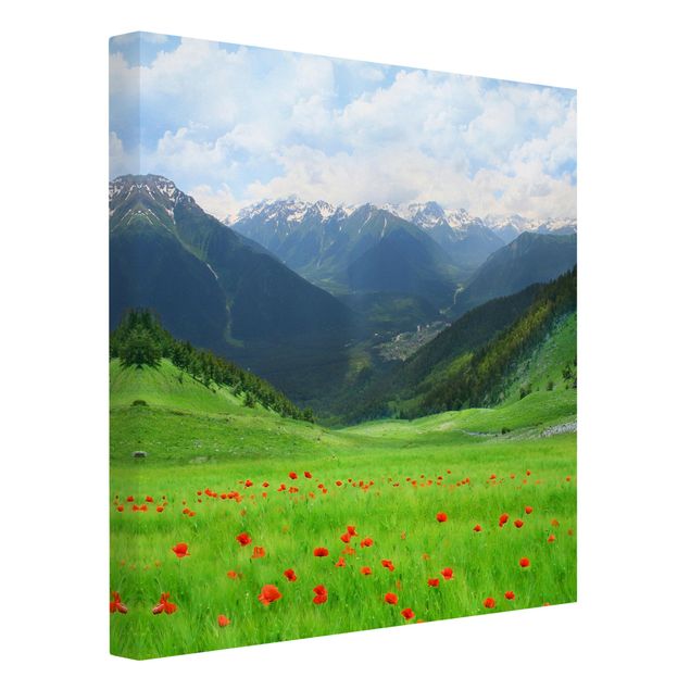 Wandbilder Natur Alpenwiese