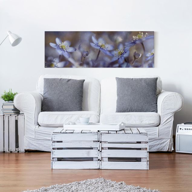 Wandbilder Wohnzimmer modern Anemonen in Blau