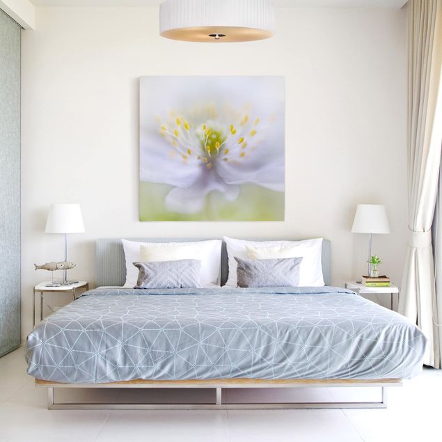 Wandbilder Wohnzimmer modern Anemonen Schönheit
