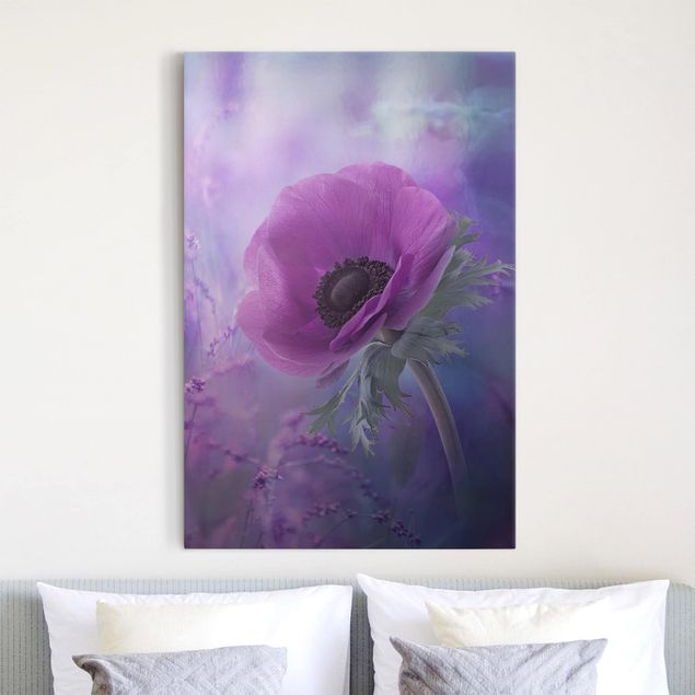 Leinwand Bilder XXL Anemonenblüte in Violett