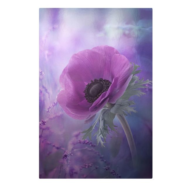 Schöne Leinwandbilder Anemonenblüte in Violett