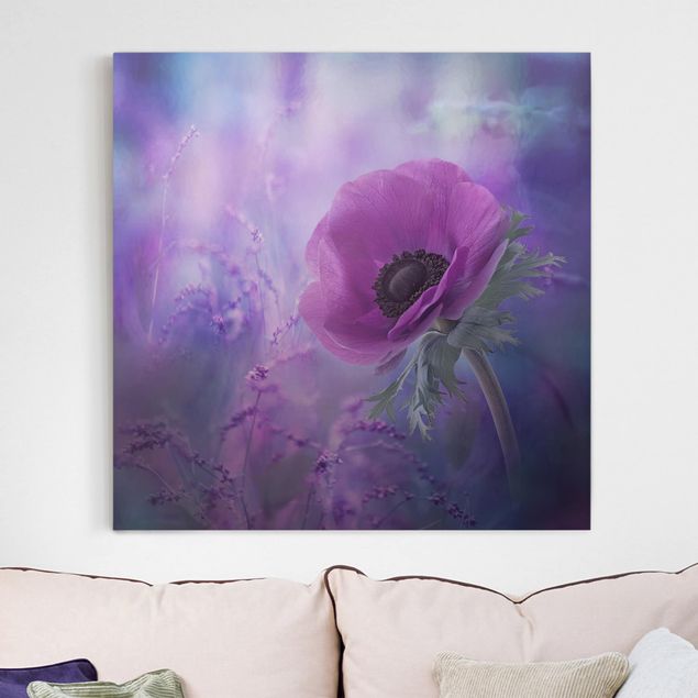 Leinwand Bilder XXL Anemonenblüte in Violett