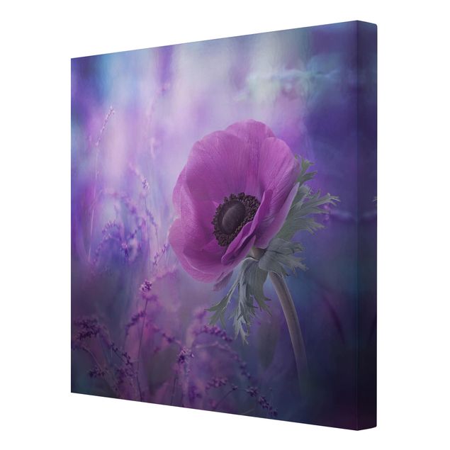 Leinwandbild - Anemonenblüte in Violett - Quadrat 1:1