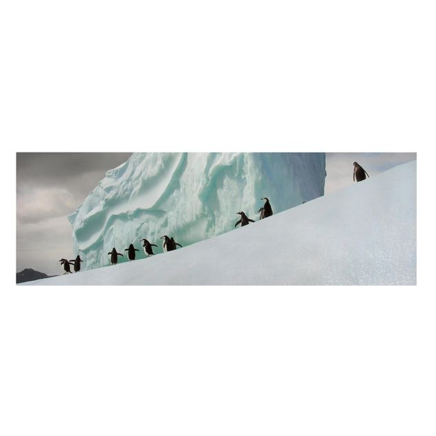 Leinwandbilder Wohnzimmer modern Arctic Penguins