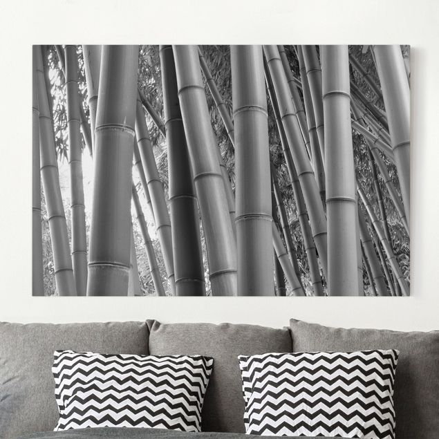 Wandbilder XXL Bamboo