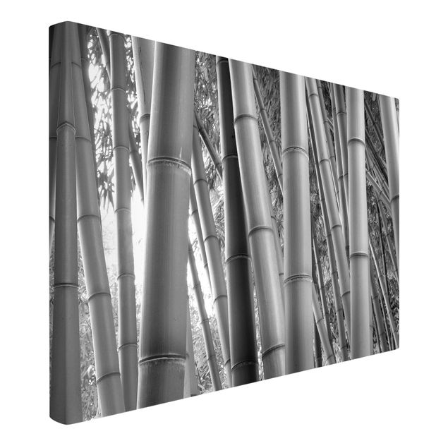 Wandbilder Natur Bamboo