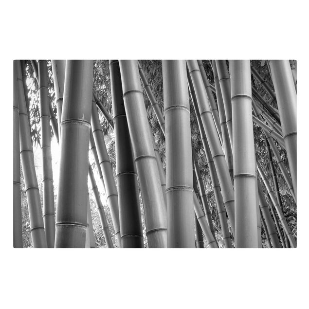 Wandbilder Wald Bamboo