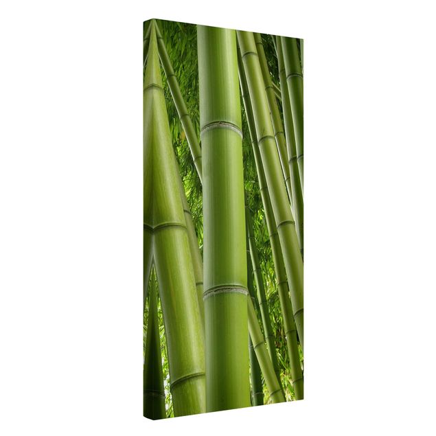 Leinwandbilder Wald Bamboo Trees
