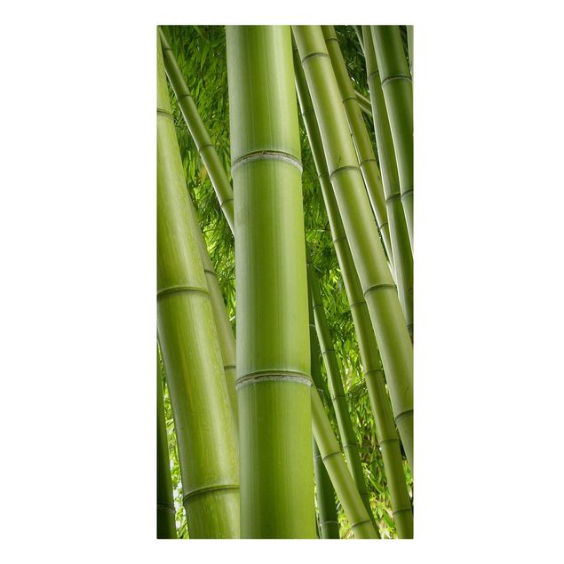 Leinwandbilder Wohnzimmer modern Bamboo Trees