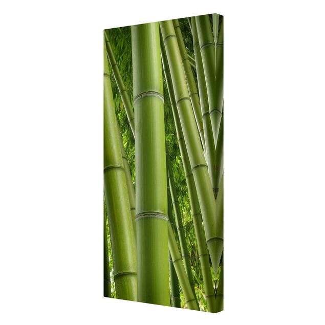 Schöne Wandbilder Bamboo Trees