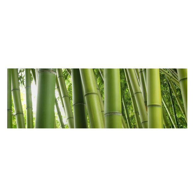 Leinwandbilder Wohnzimmer modern Bamboo Trees