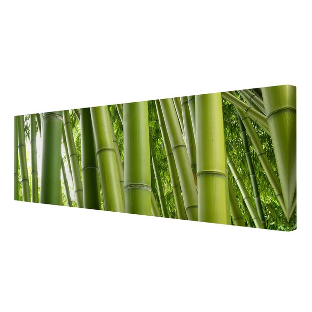Schöne Wandbilder Bamboo Trees