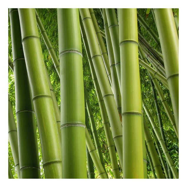 Wandbilder Wohnzimmer modern Bamboo Trees