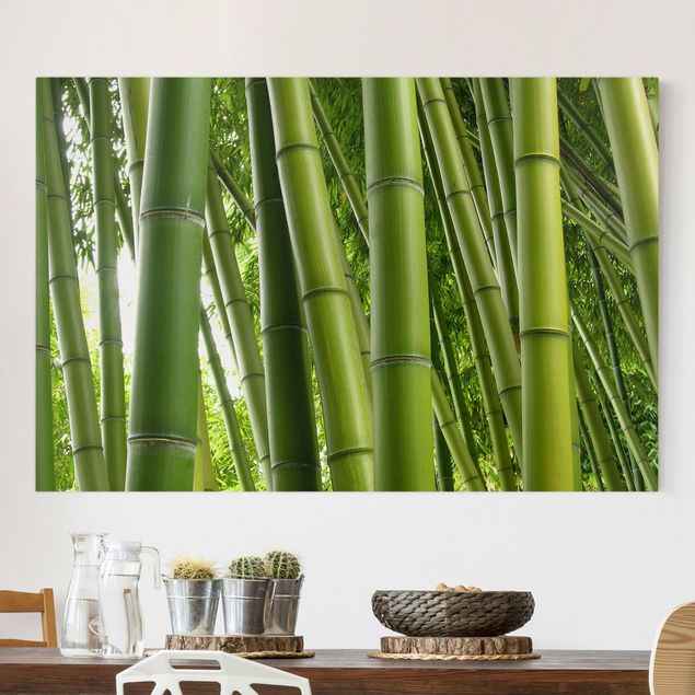 Leinwand Bilder XXL Bamboo Trees