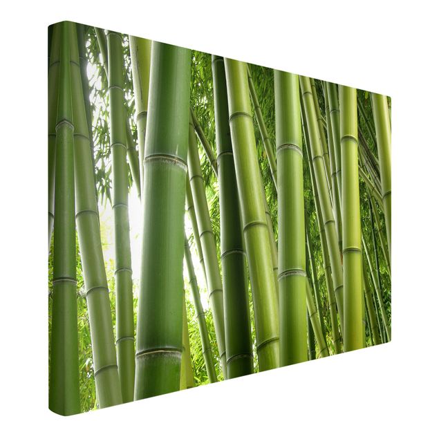 Wandbilder Baum Bamboo Trees