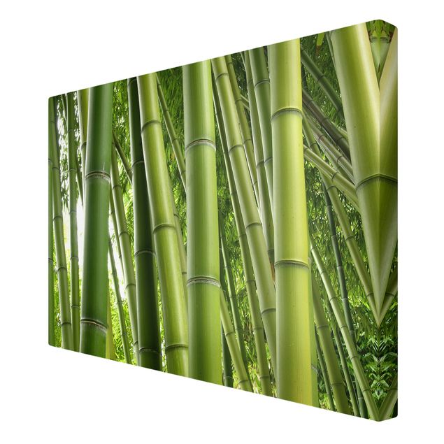 Bilder für die Wand Bamboo Trees