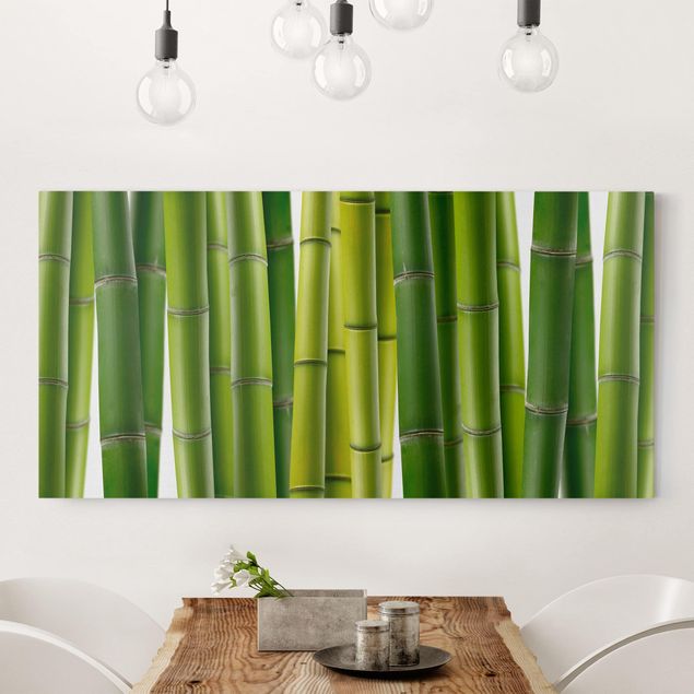 Wandbilder XXL Bambuspflanzen