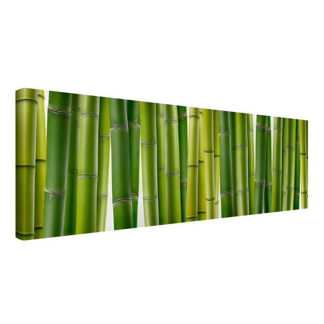 Wandbilder Natur Bambuspflanzen