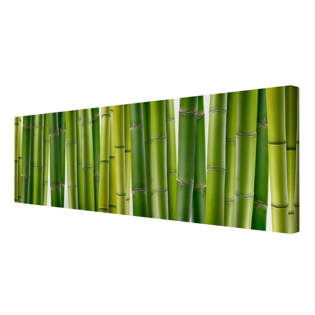 Wandbilder Wohnzimmer modern Bambuspflanzen