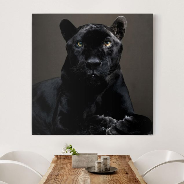 Leinwandbilder XXL Black Puma
