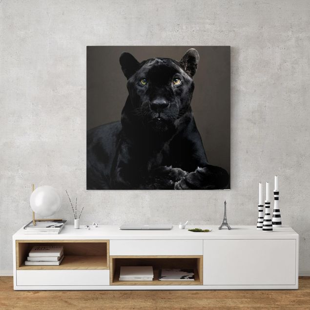 Leinwandbilder Katzen Black Puma