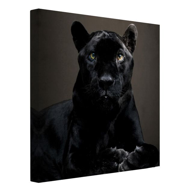 Leinwandbilder Tier Black Puma