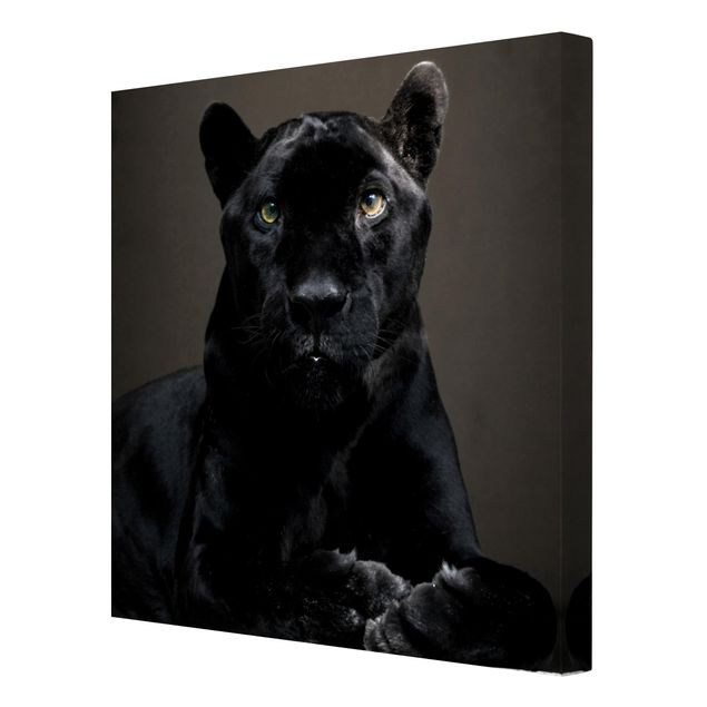 Schöne Wandbilder Black Puma
