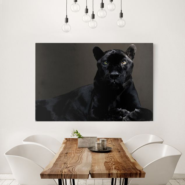 Wandbilder Tiere Black Puma