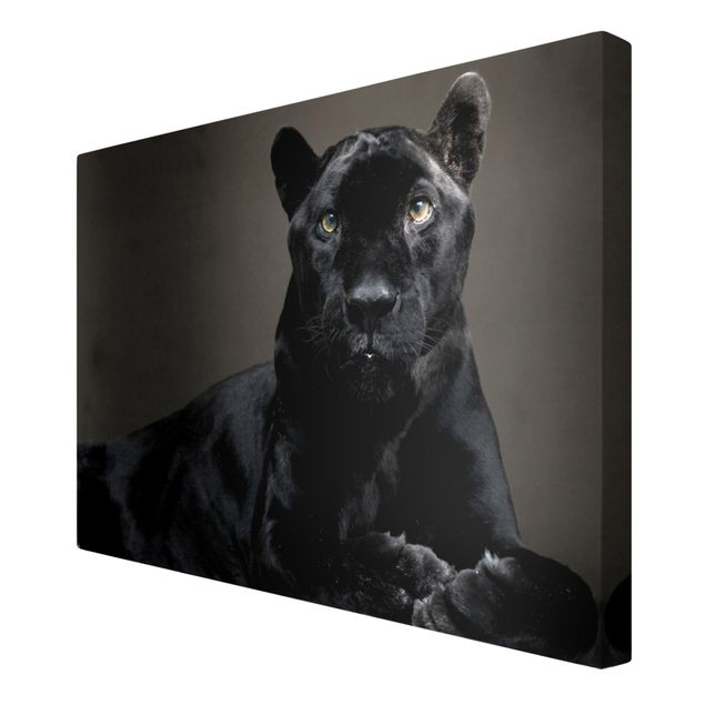 Wandbilder Black Puma