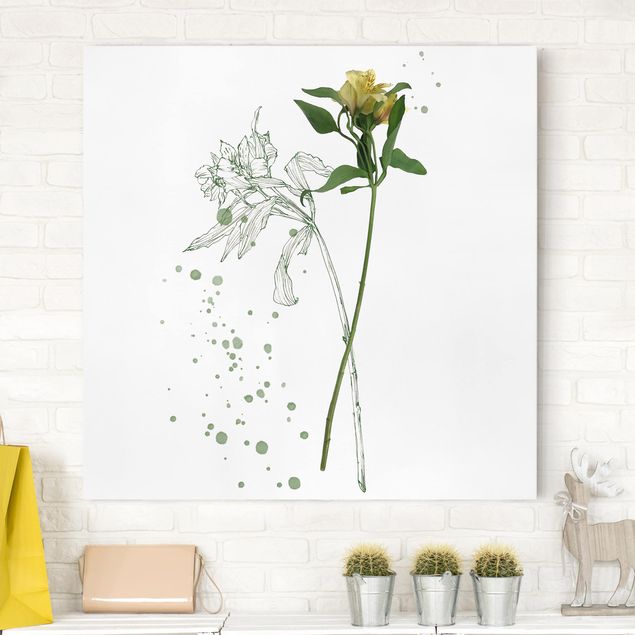 Wandbilder Blumen Botanisches Aquarell - Lilie