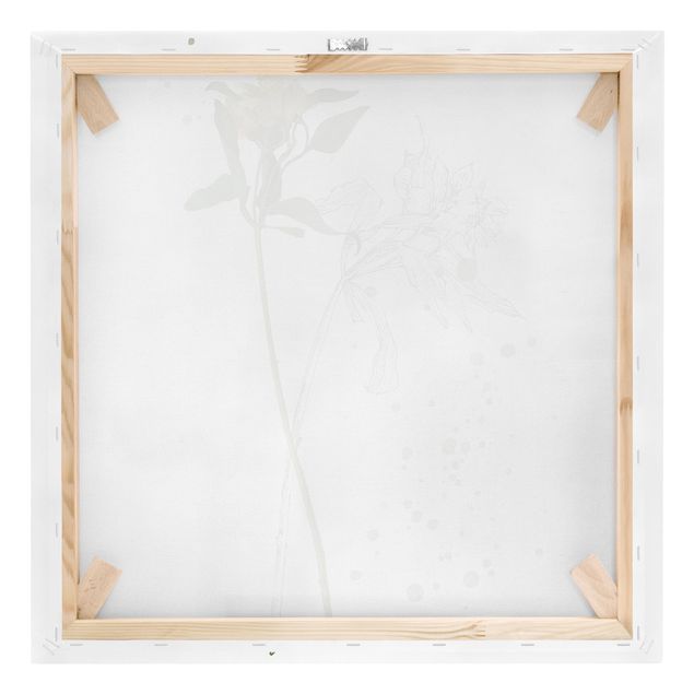 Leinwandbild - Botanisches Aquarell - Lilie - Quadrat 1:1