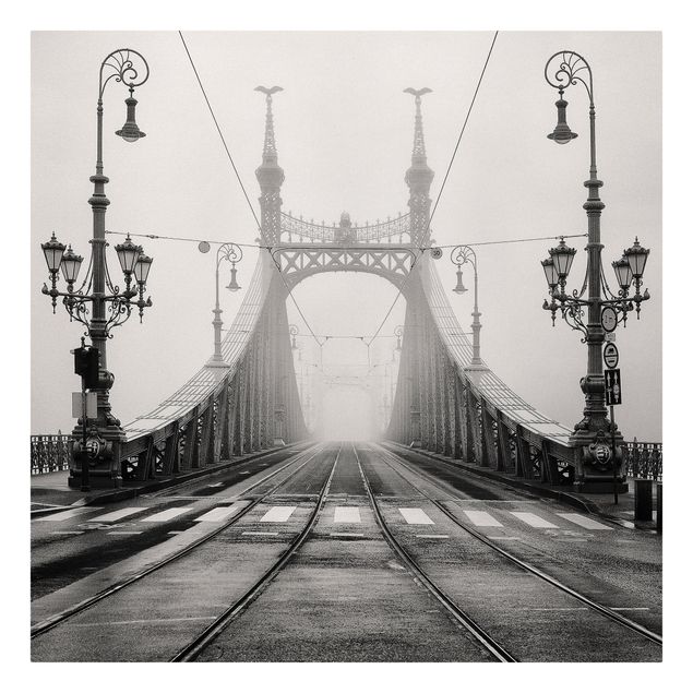 Bilder für die Wand Brücke in Budapest