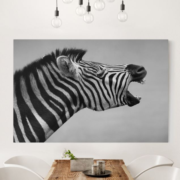 Leinwandbilder XXL Brüllendes Zebra II