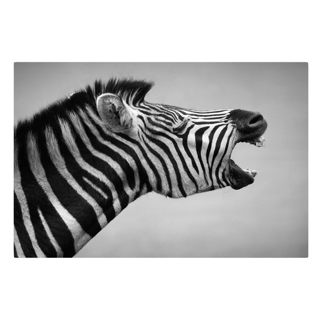Leinwandbilder Tier Brüllendes Zebra II