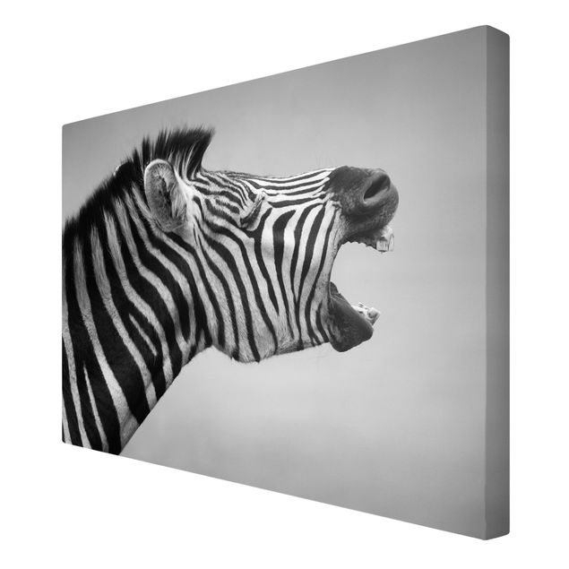 Leinwandbilder Wohnzimmer modern Brüllendes Zebra II